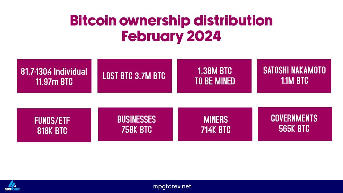 Ownership Distribution and Bitcoin Holders 2024